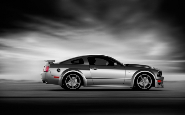 Photograph Chris Bailey Mustang on One Eyeland